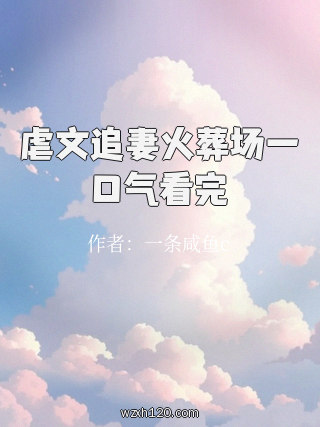 虐文追妻火葬场一口气看完