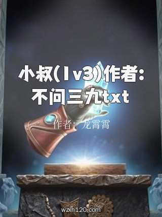 小叔(1v3)作者:不问三九txt