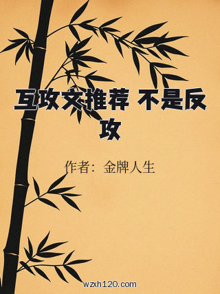 互攻文推荐 不是反攻