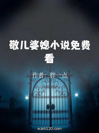 敬儿婆媳小说免费看
