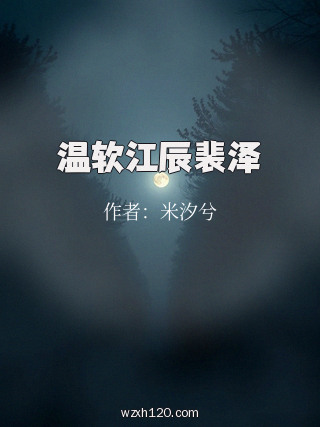 温软江辰裴泽