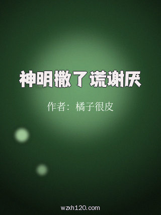 神明撒了谎谢厌