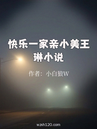 快乐一家亲小美王琳小说