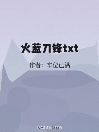 火蓝刀锋txt