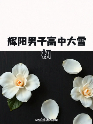 辉阳男子高中大雪初