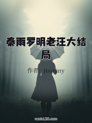 秦雨罗明老汪大结局
