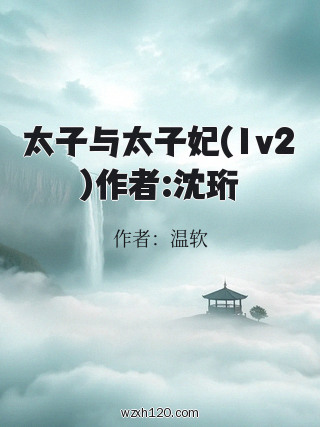 太子与太子妃(1v2)作者:沈珩