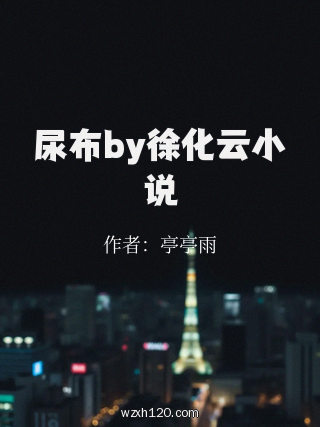 尿布by徐化云小说