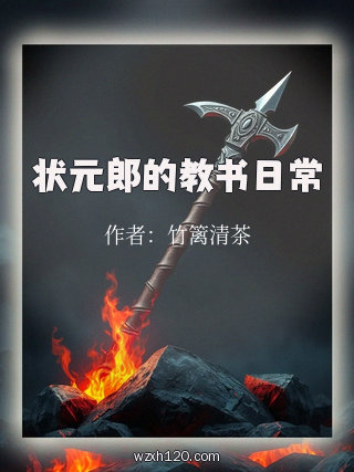 状元郎的教书日常