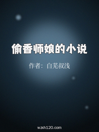 偷香师娘的小说