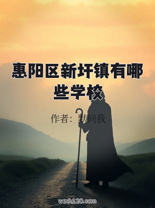 惠阳区新圩镇有哪些学校