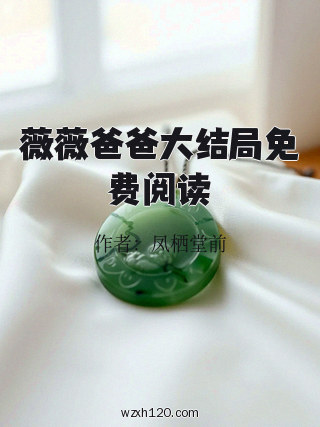 薇薇爸爸大结局免费阅读