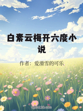 白素云梅开六度小说