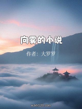 向雾的小说