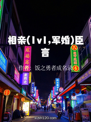 相亲(1v1,军婚)臣言