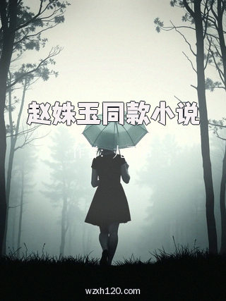 赵姝玉同款小说
