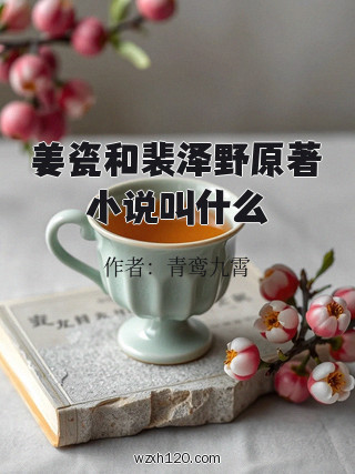 姜瓷和裴泽野原著小说叫什么