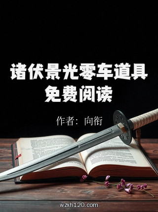 诸伏景光零车道具免费阅读