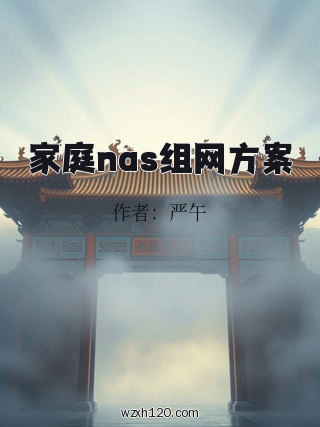 家庭nas组网方案