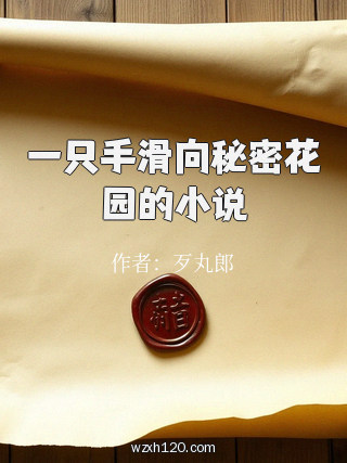 一只手滑向秘密花园的小说