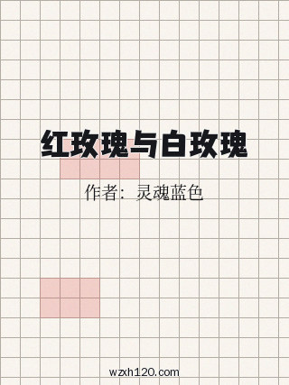 红玫瑰与白玫瑰