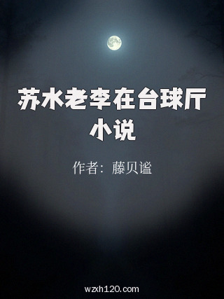 苏水老李在台球厅小说