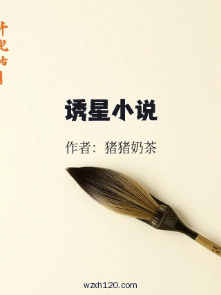 诱星小说