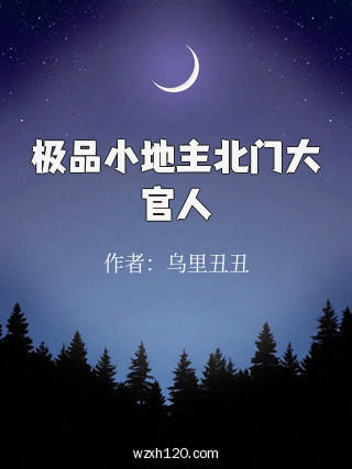 极品小地主北门大官人