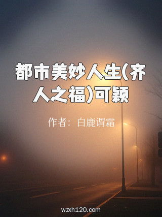 都市美妙人生(齐人之福)可颖