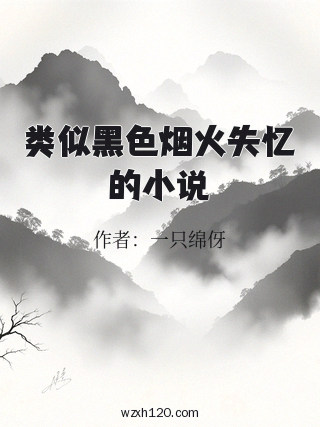 类似黑色烟火失忆的小说