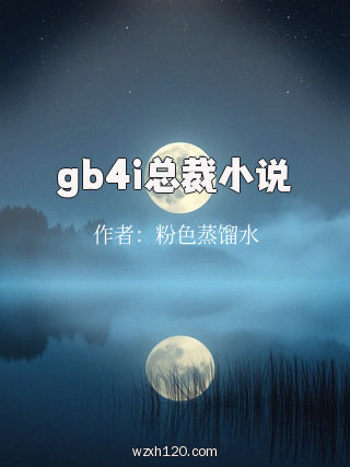 gb4i总裁小说