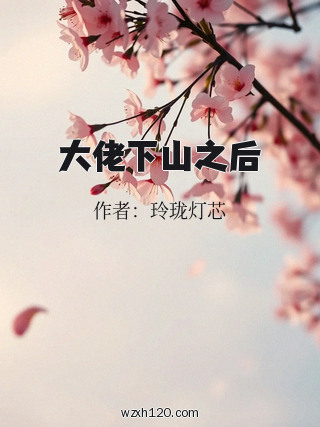 大佬下山之后