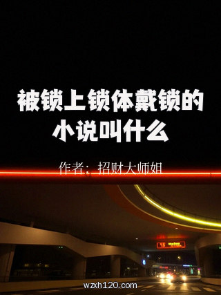 被锁上锁体戴锁的小说叫什么