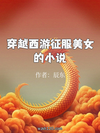 穿越西游征服美女的小说