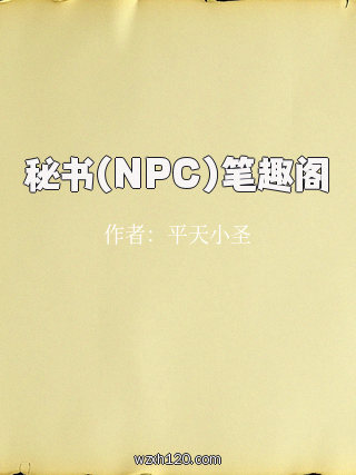 秘书(NPC)笔趣阁