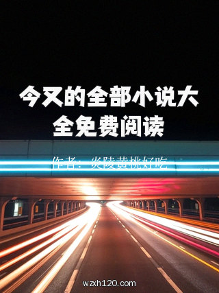 今又的全部小说大全免费阅读