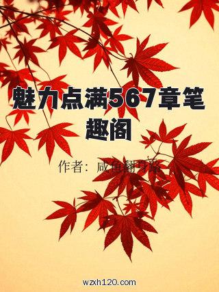 魅力点满567章笔趣阁