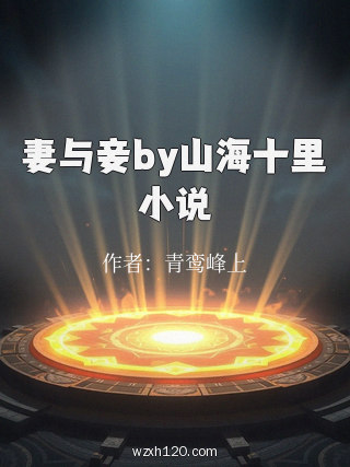 妻与妾by山海十里小说
