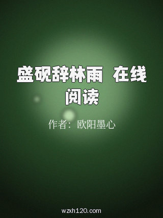 盛砚辞林雨濛在线阅读