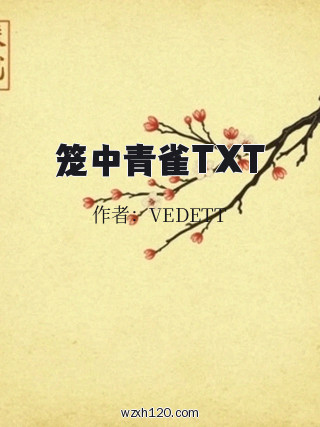 笼中青雀TXT
