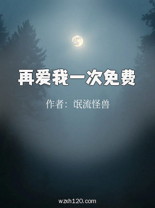 再爱我一次免费