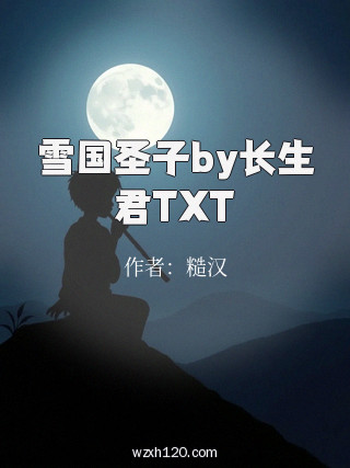 雪国圣子by长生君TXT