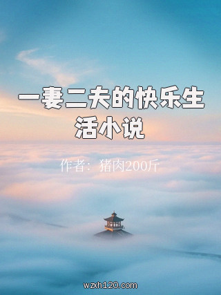 一妻二夫的快乐生活小说