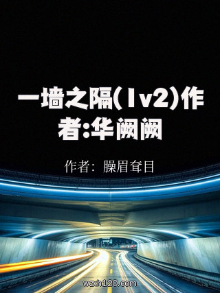 一墙之隔(1v2)作者:华阙阙