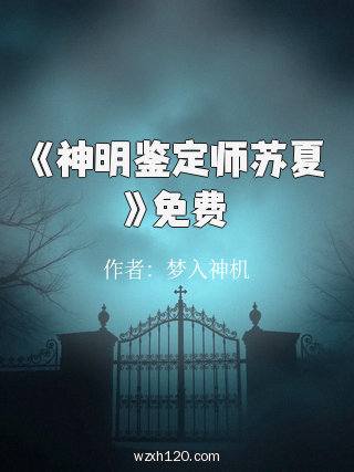 《神明鉴定师苏夏》免费