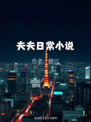 夫夫日常小说