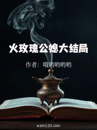 火玫瑰公媳大结局