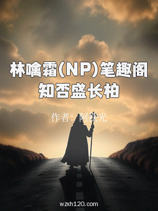 林噙霜(NP)笔趣阁知否盛长柏