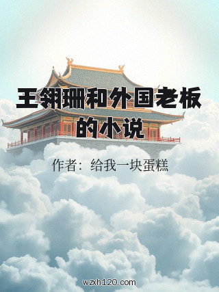 王翎珊和外国老板的小说