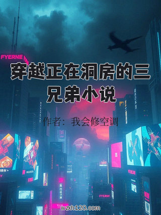 穿越正在洞房的三兄弟小说